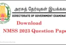 NMMS 2023 MAT Model Question Paper For Class 8